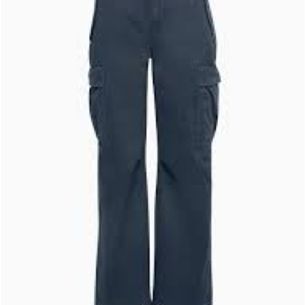 TNA Aritzia Navy Cargo Pants